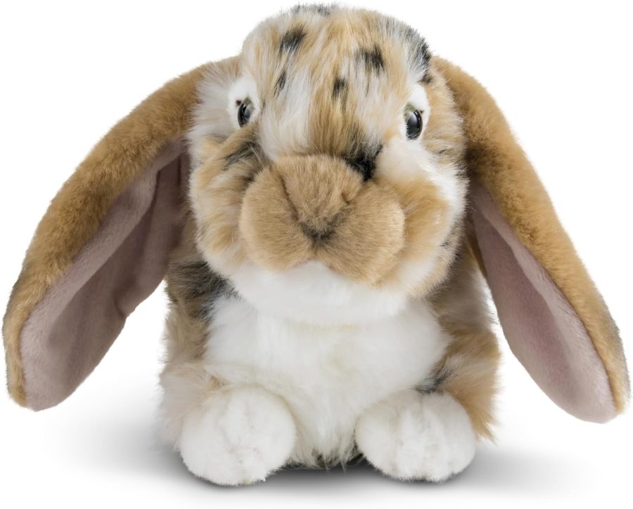 Brown Dutch Lop Eared Rabbit Stuffed Animal | Fluffy Rabbit Animal | Soft Toy for Kids | 10 inches